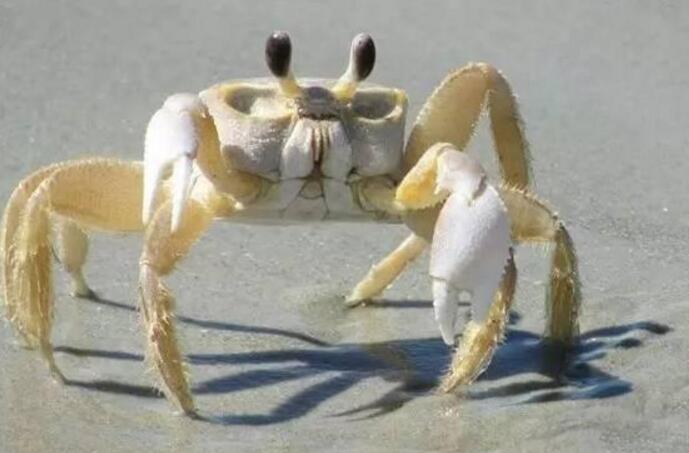 гзܳԆгзĈDƬ