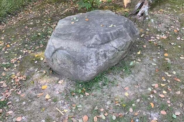ǾĹЧǾĹЧͽ