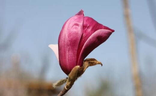 ӢQȾҕܓp,ӢȺwָʲô