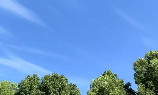 һ˿eQը,wCl(f)¹ôk