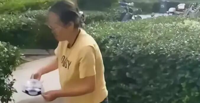 女子小區(qū)內投放蟑螂