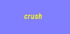 crushʲô˼W(wng)j(lu)ṣcrushɶW(wng)j(lu)