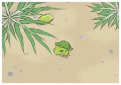 馬斯克稱地球會(huì)被太陽焚化,馬斯克私人訪問奧斯威辛遺址